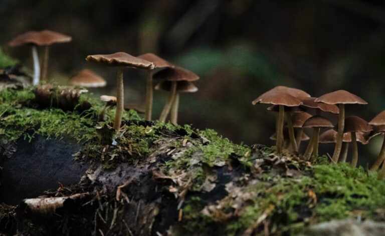 Mother Nature